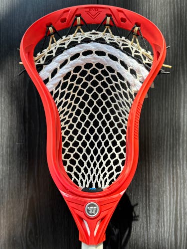 New Warrior Evo V Box Head Custom Strung with Hero 4.0 Mesh (Sample Stringing)