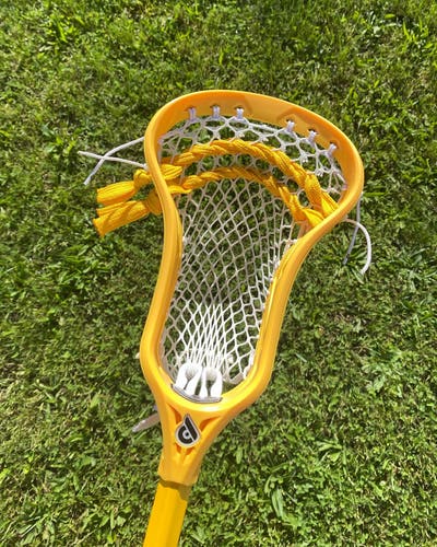 Powell Pioneer 2 Head