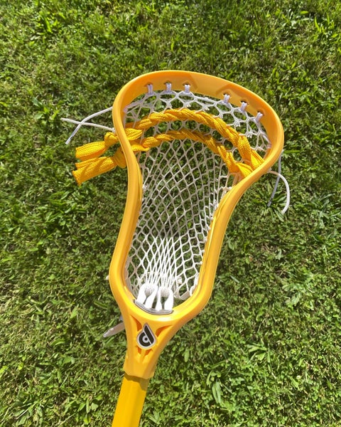 Powell Pioneer 2 Head