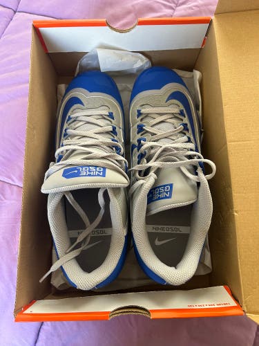 Men's Size M 11.0 (W 12.0) Nike Metal (New)