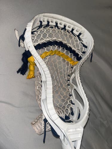 Gait D2GB Head (Used)