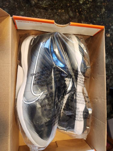 Black Men's Size M 11.5 (W 12.5) Adult Nike Low Top Metal (New)