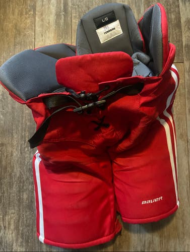 Bauer Nexus Custom Pro Hockey Pants Large NCAA BU (Used)