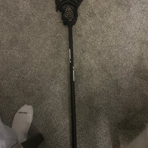STX Stallion Head (New)