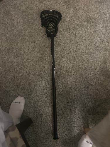 STX Stallion Head (New)