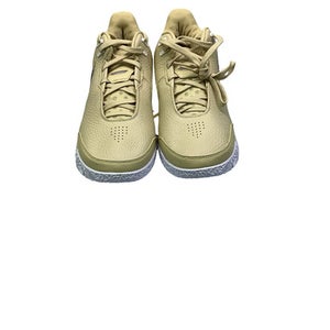 Used Nike ZOOM LEBRON NXXT GEN AMPD TB P Basketball Shoes M Beige Senior 10 11347-S000264805