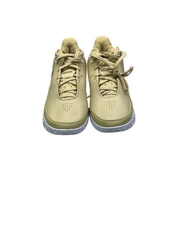 Used Nike ZOOM LEBRON NXXT GEN AMPD TB P Basketball Shoes M Beige Senior 10 11347-S000264805