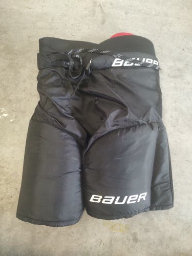 Senior Medium Bauer Hockey Pants (Used)
