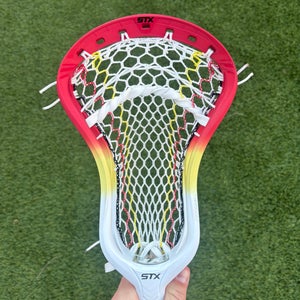 STX Stallion 1K - Pro Strung with Hero 4.0