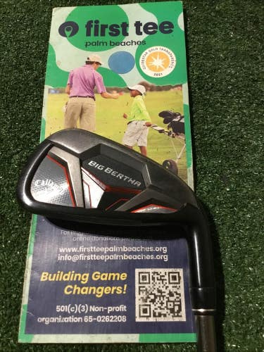 Callaway Big Bertha CF19 6 Iron Seniors Recoil ESX 460 F2 Graphite Shaft (38)