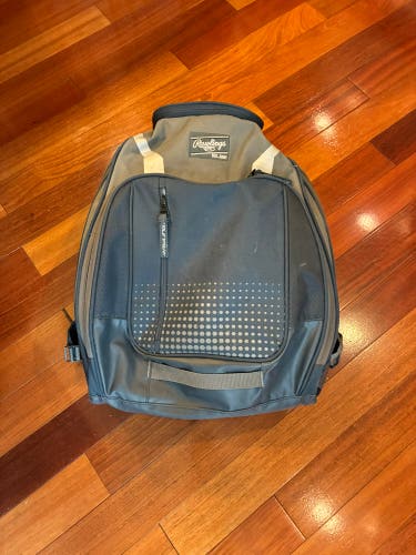 Rawlings Bat Pack (Used)