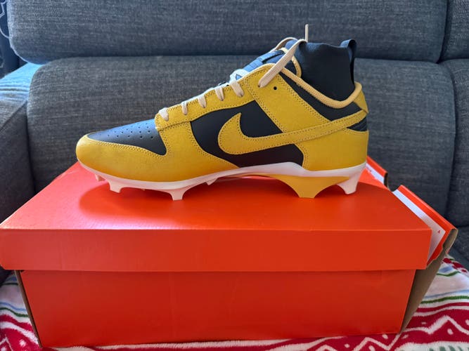 Men's Size M 14.0 (W 15.0) Nike Low Top (New)