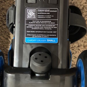 Cardiff cruise skate