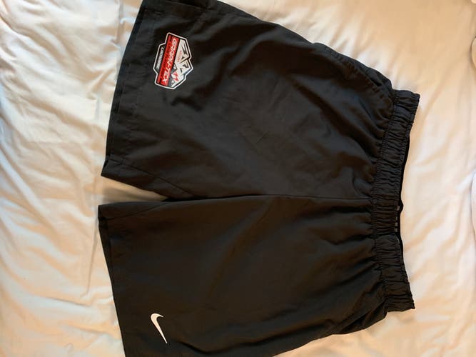 Gray Large Men's Nike Shorts (Used)