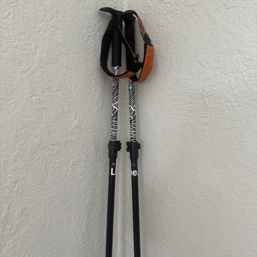Adjustable Size Line Alpine Touring Ski Poles (Used)