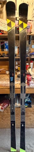 Fischer RC4 WC GS 193 cm Skis Without Bindings (Used) National Team ski 4861