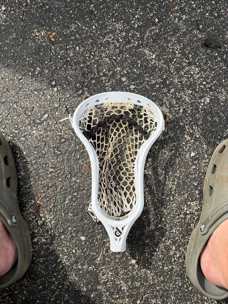 Powell Pioneer Head (Used)