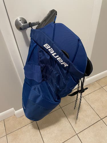 Senior Small Bauer Nexus 800 Hockey Pants  (New)