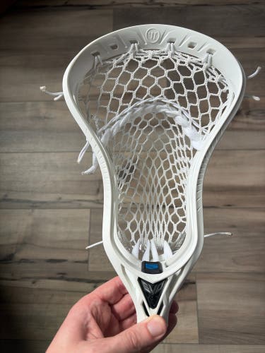 Brand New Warrior Evo 5 Head