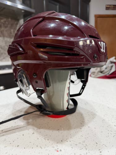 Large Warrior Covert PX+ Helmet (Used)