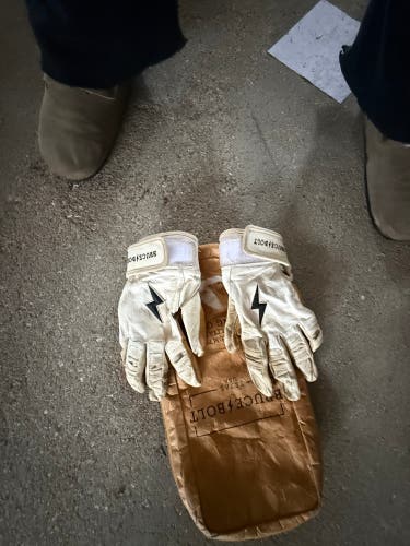 Batting Gloves (Used)