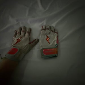 Batting Gloves (Used)