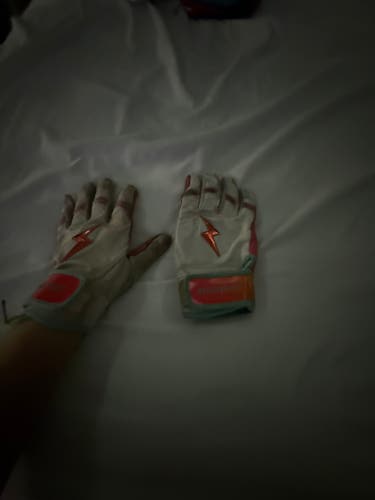Batting Gloves (Used)