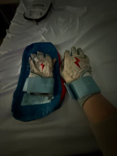 Batting Gloves (Used)