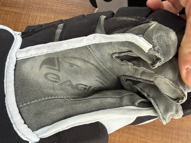 Eagle Gloves 13" (Used)