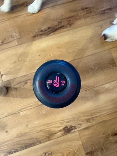 2026 Easton Dub Composite USSSA Certified Bat (-10) 19 oz 29" (Used)