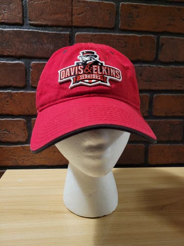 The Game Davis & Elkins College Senators Adjustable Hat