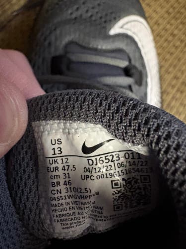 Men's Size 13.0 (W 14.0) Adult Nike Shoes (Used)