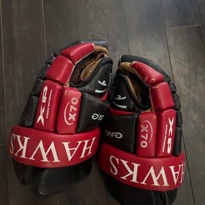 Eagle X70 Gloves 14" (Used)