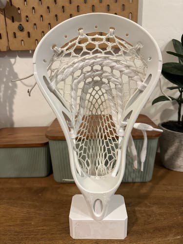 Warrior Razer 2.0 (New)