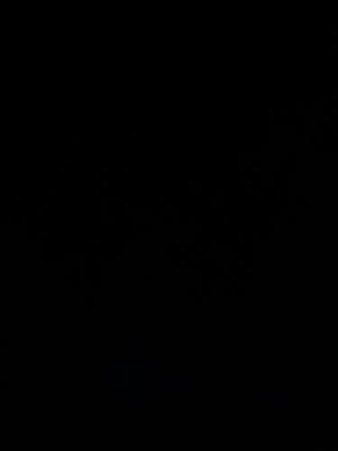 Bauer Hyperlite Regular Pro Stock