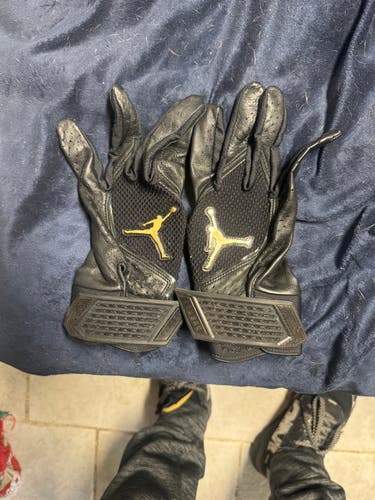 Large Air Jordan Batting Gloves (New)
