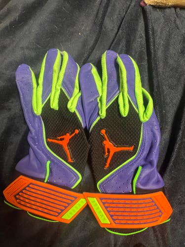 Large Air Jordan Batting Gloves (New)