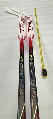 Senior True HZRDUS 9x4 Regular Goalie Stick 25" Paddle (2-Pack)