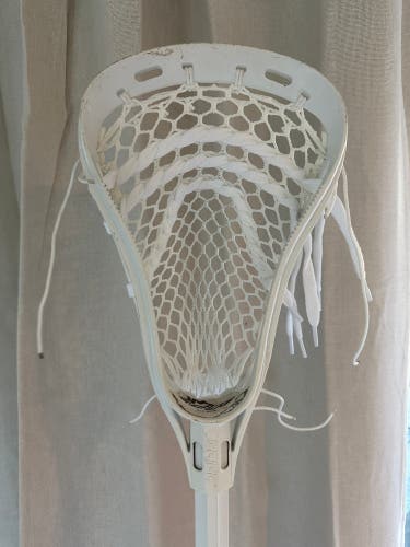 Brine Edge Bundle