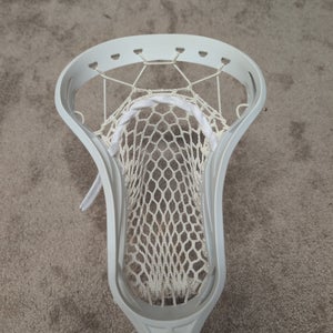 Fresh Stringing Wolf Rekon Head (New)