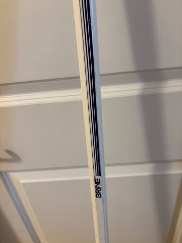 Vintage Brine Lacrosse Long Pole Shaft (Black)