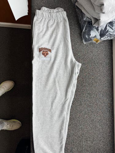 Gray Medium Men's Champion Brown Lacrosse sweatants (New)