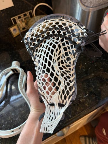 STX STALLION PRISM Fresh Stringing Head (New)
