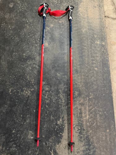 48in (120cm) Swix Ski Poles (Used)