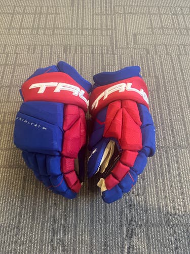 USA UNTDP pro stock True Catalyst Gloves 14" Pro Stock (Used)