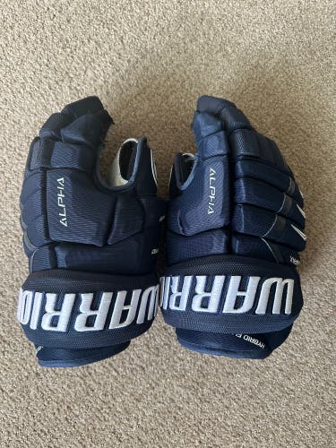 Warrior Alpha DX Pro Gloves 13" Navy
