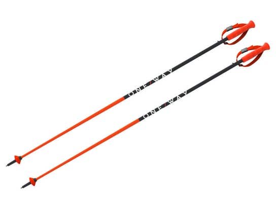 NEW Fischer RD 16 GS Pro Racing Poles - 110cm