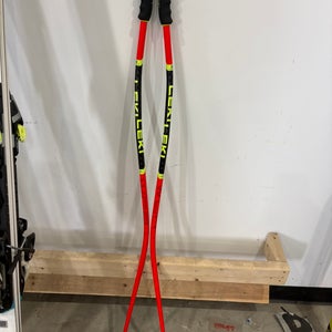 Leki speed poles (Used)
