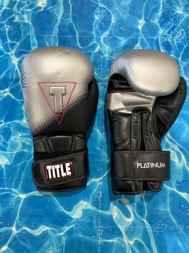 Title Platinum Boxing Training Gloves | 14 oz (Used)