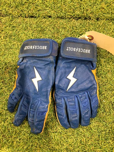Blue Small Bruce Bolt Batting Gloves (Used)